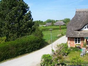 Appartement für 2 Personen (35 m²) in Ahrenshoop