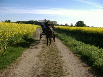 Kutschfahrt durch die Felder