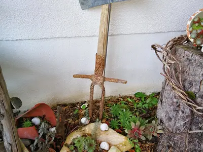 Steinbeet