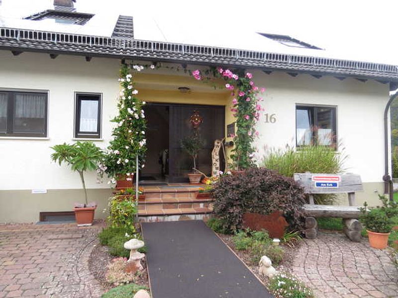 19075633-Appartement-4-Amorbach-800x600-1