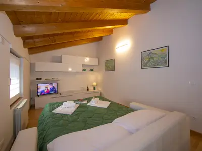 Das Wohnzimmer mit Schlafsofa