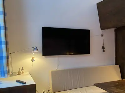 Fernseher