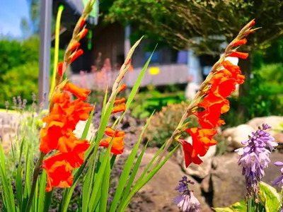 Haus Blumen