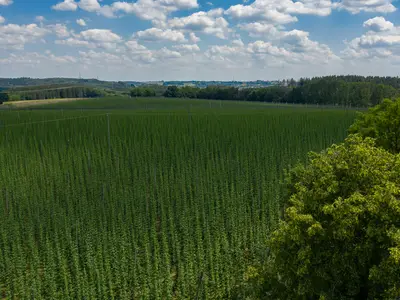 Appartement für 3 Personen in Au In Der Hallertau 6/10