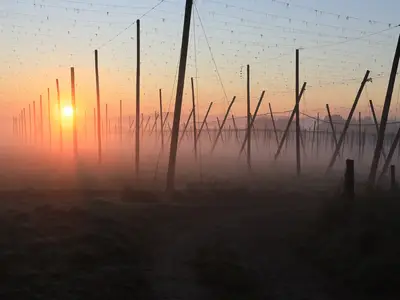 Appartement für 2 Personen (25 m²) in Au In Der Hallertau 1/8