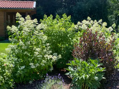 Garten