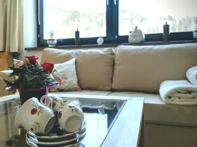 Gemütliche Sitzecke im Wohnraum des Wohlfühlapartments Dachsteinblick