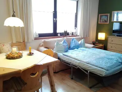 Wohnraum mit Ausziehcouch im Wohlfühlapartment Dachsteinblick