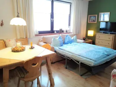Schlafsofa im Wohnzimmer