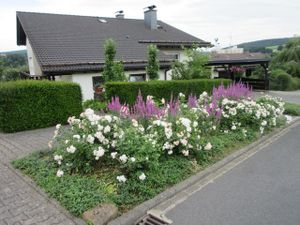 Appartement für 4 Personen (85 m²) in Bad König