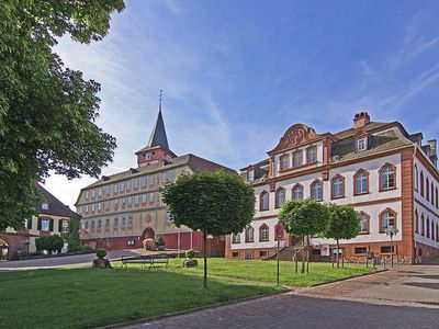 Appartement für 2 Personen (50 m²) in Bad König 7/10