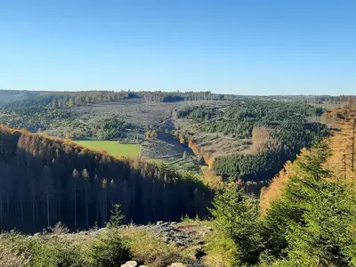 Appartement für 4 Personen (80 m²) in Bad Laasphe 9/10