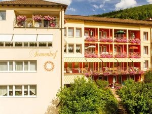 22780475-Appartement-3-Bad Wildbad Im Schwarzwald-300x225-0