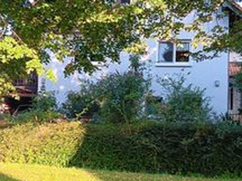 23897377-Appartement-2-Bad Wildungen-800x600-0