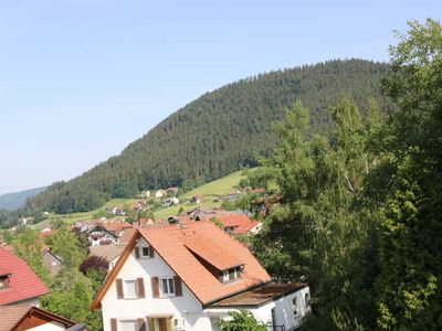 Appartement für 3 Personen (35 m²) in Baiersbronn 9/10