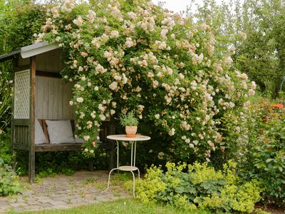 Garten mit Laubenbank