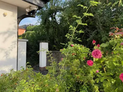 Vorgarten und Zugang Ferienwohnung