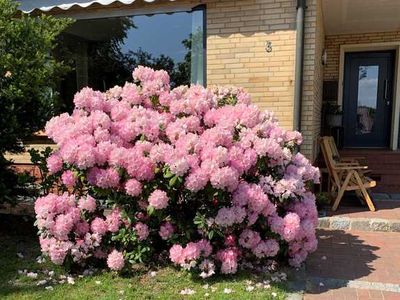 Appartement für 2 Personen (30 m²) in Beckdorf 6/10