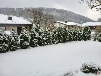 Appartement für 4 Personen (65 m²) in Bodenwerder 2/10