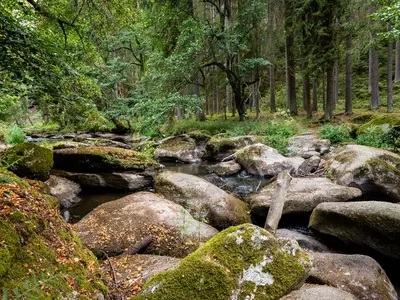 Führung durch das Waldnaabtal