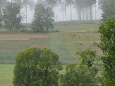 Wiesengrund im Nebel   Ausblick Ferienwohnung "Zum Wiesengrund"