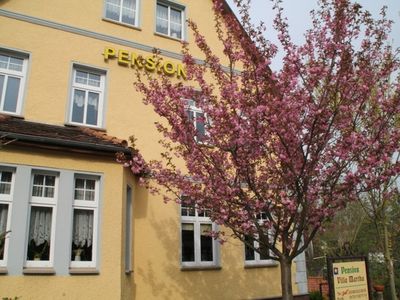 Appartement für 4 Personen (32 m²) in Burg Stargard 2/10