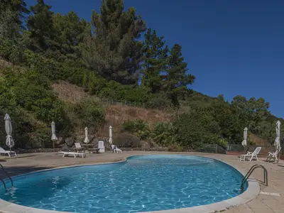Gemeinschaftspool
