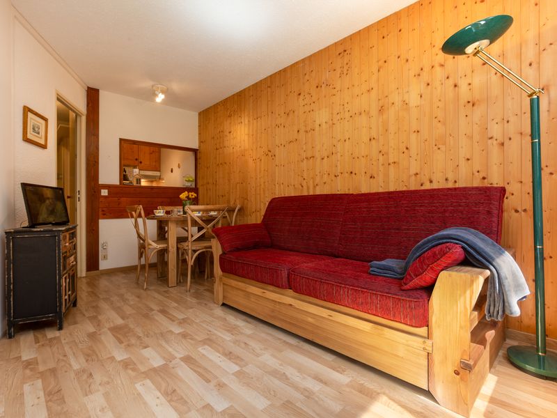 23706469-Appartement-4-Chamonix-Mont-Blanc-800x600-2