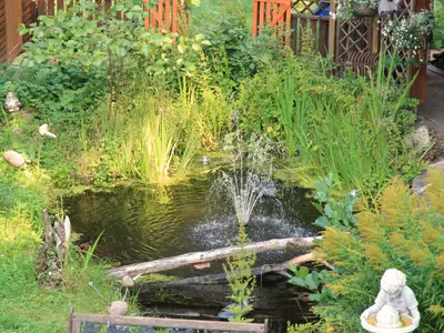 Gartenteich