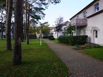 Appartement für 4 Personen (38 m²) in Dierhagen (Ostseebad) 4/10