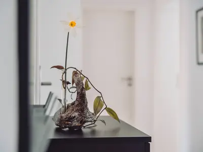 Appartement für 6 Personen in Dingolshausen 10/10