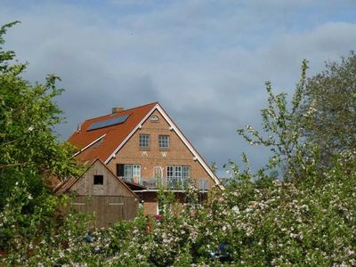 Appartement für 3 Personen (46 m²) in Drochtersen 3/10