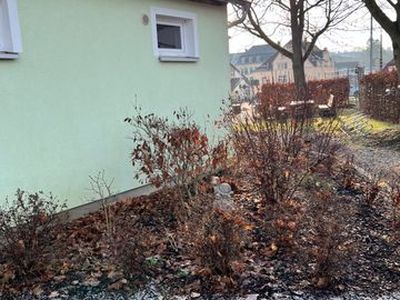 Appartement für 6 Personen (60 m²) in Ebersbach-Neugersdorf 3/10