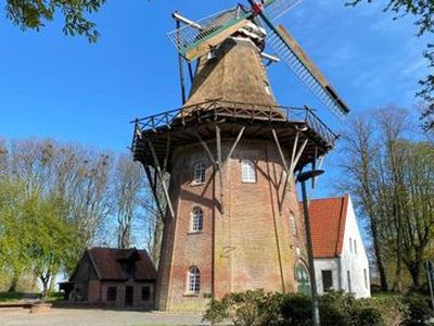 Appartement für 7 Personen (85 m²) in Emden 3/10