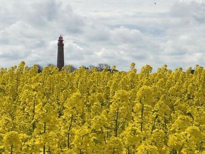 Appartement für 6 Personen (95 m²) in Fehmarn 5/10