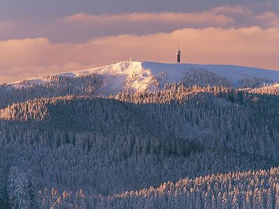 Appartement für 4 Personen in Feldberg (Hochschwarzwald) 5/10