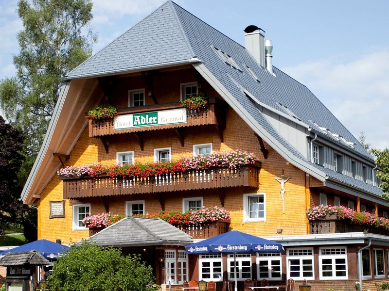 23363292-Appartement-2-Feldberg (Hochschwarzwald)-800x600-0