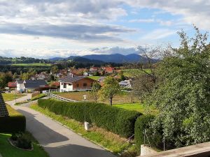 23360166-Appartement-1-Frauenau-300x225-4