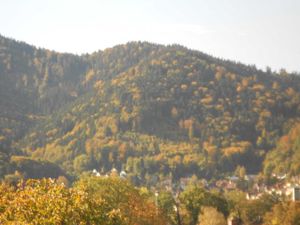 18875283-Appartement-6-Freiburg im Breisgau-300x225-1