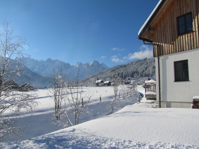 22773297-Appartement-4-Gosau-800x600-2