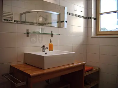 Badezimmer Apartment "Kuastoi" / apartments gosaukamm.com