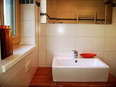 Badezimmer Apartment "Schofstoi" / apartments gosaukamm.com