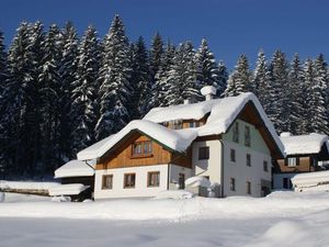 22773279-Appartement-5-Gosau-300x225-1