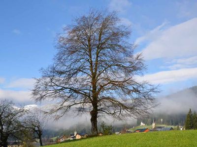 Ausblick