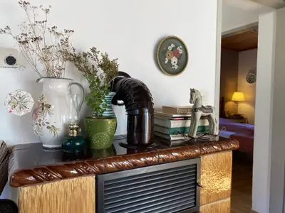 Kamin im Wohnzimmer, Ferienhaus