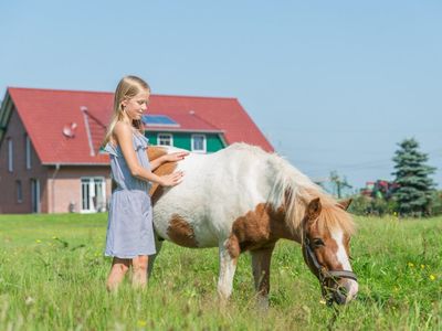 Unser Pony Schulzi