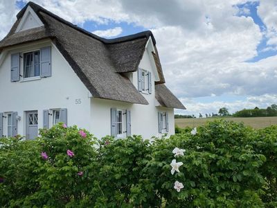 Appartement für 4 Personen (90 m²) in Groß Schwansee 1/10