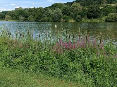 Hahnenkammsee