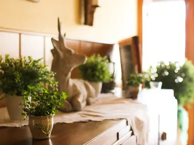 Appartement für 14 Personen (140 m²) in Hayingen 5/10