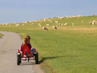 ausfahren